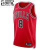 Camiseta Niños NBA Chicago Bulls Zach Lavine 8 2022-23 Nike Icon Edition Rojo Swingman